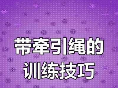 狗狗什么时候可以开始使用牵引绳？（狗狗适合使用牵引绳的关键时机及注意事项）