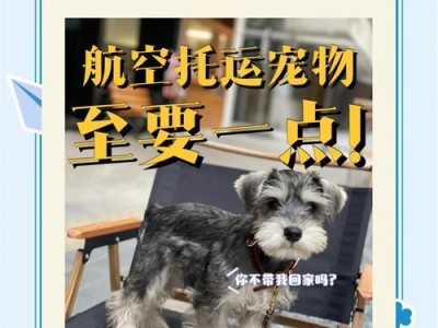 宠物空运需要多久？解读宠物空运时间和流程（详解宠物空运时长、手续和注意事项）
