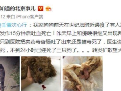 人类药物对狗的危害及预防方法（了解哪些人类药物对狗有害，保护它们的健康）
