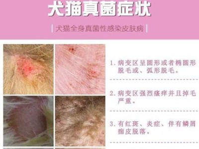 不适用螨虫针的狗狗种类（了解不适用螨虫针的狗狗种类和原因）
