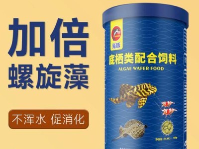 三间鼠鱼的饲养方法（从鱼缸的选择到水质管理，这些是您需要知道的！）
