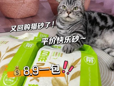 选择适合的猫砂，让你和猫咪都满意（寻找最佳猫砂品牌，为你解决烦恼）