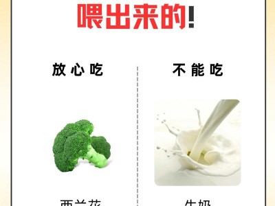 一岁泰迪的饮食安排（为你的小泰迪提供适宜的食物，让它健康成长）