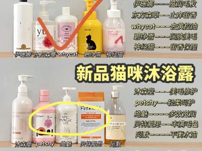 猫咪洗澡的正确方法与注意事项（保持猫咪健康干净，选择适合洗澡的产品）