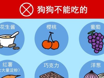 狗狗不能吃的食物大揭秘（了解清单，守护爱宠健康）