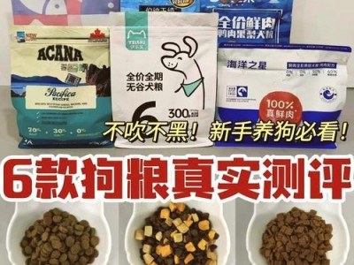 养狗新手必读（小细节决定宠物健康）