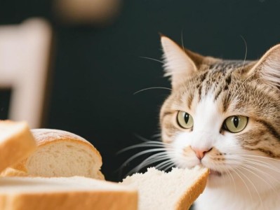 猫咪可以吃面包吗？（哪些面包不适合猫咪食用？）