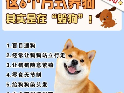 狗的养殖注意事项（培养快乐健康的宠物狗）