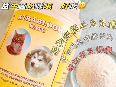 如何帮助猫咪怀孕和产奶