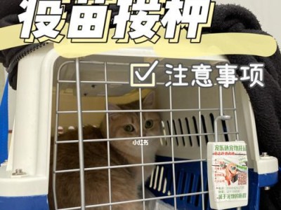 为什么狗狗要注射疫苗？（新手铲屎官必看）