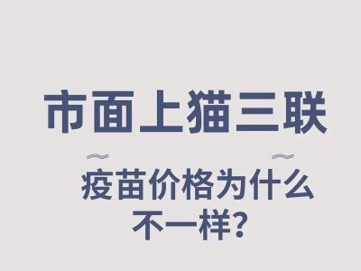 为猫咪选择合适的疫苗，守护它们的健康（选用适合猫咪的疫苗品牌，提供全面保护）