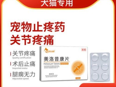 狗狗止痛药的持效期（通过合理用药，为狗狗提供有效止痛）