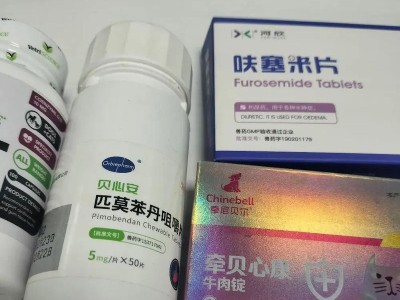 狗狗轻微咳嗽的原因与治疗方法（了解狗狗咳嗽背后的问题，选择合适的药物治疗）