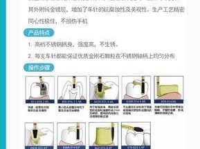 鹰嘴陆龟的饲养指南（了解鹰嘴陆龟的生活习性及饲养方法）