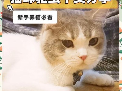 在家呆着的小猫需要多久驱一次虫？（小猫驱虫频率及注意事项）