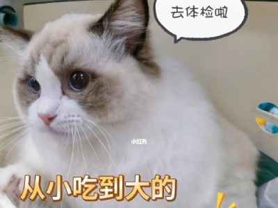 今年粮食补贴发放时间及相关政策解读（掌握发放时间，了解政策细则，享受粮食补贴福利）