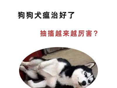 犬瘟后遗症治疗方法与注意事项（了解犬瘟后遗症，科学应对它们）