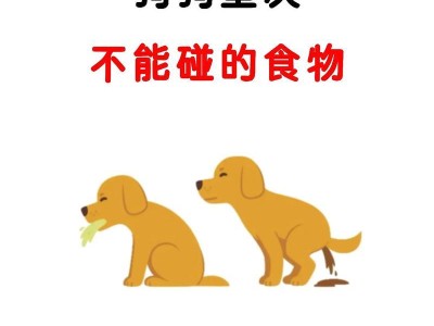 狗狗的禁食之物——不能吃的东西有哪些？（了解宠物狗狗的饮食禁忌，保障它们的健康）