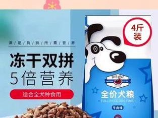 解决泰迪狗厌食问题的狗粮选择（如何选择适合泰迪狗的狗粮）