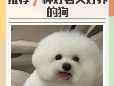 拉布拉多犬的优点（7个让人喜欢的优点，拉布拉多是你的理想宠物！）
