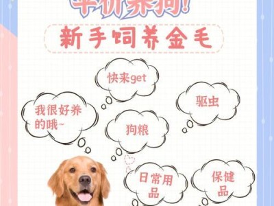 介绍: