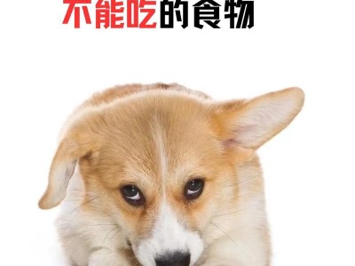 狗狗每天所需要的食物量有多少？（了解你的狗狗的饮食需求）