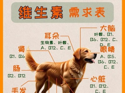 狗狗的健康需要哪些蛋白质？（满足狗狗营养需求的关键蛋白质种类及来源）