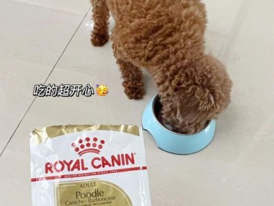 如何选择适合泰迪的狗粮？（关于泰迪的饮食需求和营养要求）