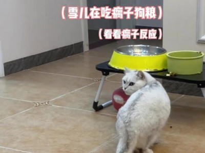 狗狗吠叫之谜（4种有效方法帮助你阻止狗狗吠叫）