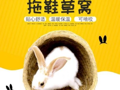 被荷兰猪咬了，打什么针？（荷兰猪咬伤需警惕，及时打针关键。）
