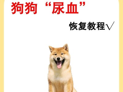 清理狗尿味的有效方法（四步清理，让家中没有狗尿味）