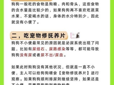 狗狗不喝水究竟多久算是问题？（探究狗狗长时间不喝水的原因及应对方法）