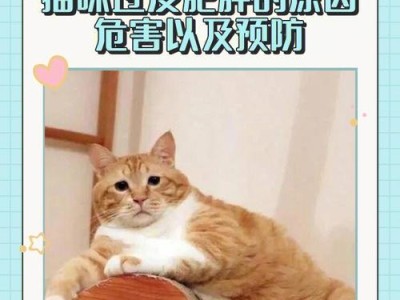 探索猫咪身价的因素与影响（解析影响猫咪价格的关键因素及其变化趋势）