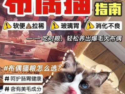 猫咪消化不良吐了该怎么办？（常见药物治疗猫咪消化不良）