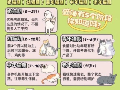 新手养猫咪容易犯的错误（避免这些错误，让您成为猫咪专家）