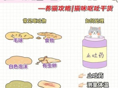 猫咪怎么喂养？不同年龄段的铲屎官必读（从幼猫到老猫，专业喂养技巧与经验分享）