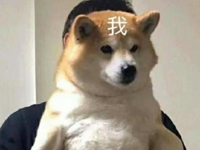 狗狗节育后的反应及注意事项（探究狗狗节育手术对身体和行为的影响）