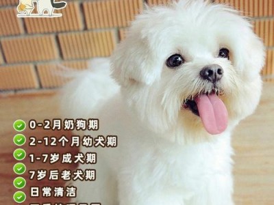 小狗喝奶的注意事项（每天喂食奶量及注意事项）