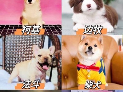 探秘拉布拉多的性格特点（了解这种可爱犬种的亲和力、活泼性和智商）