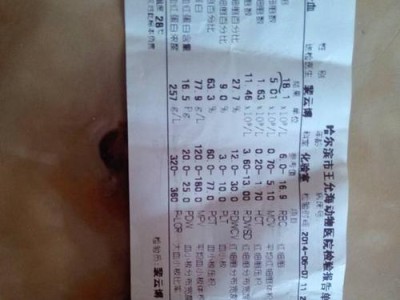 狗狗的健康指标及体温衡量标准（了解狗狗健康的三个主要指标，保障它们的幸福与快乐）