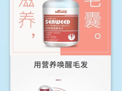泰迪吃钙片的正确时机和频率（了解泰迪吃钙片的阶段和关键时刻，确保健康成长）