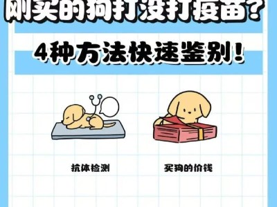 小狗疫苗接种时间表及注意事项（为了宠物的健康，合理安排小狗的疫苗接种时间）