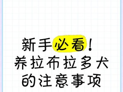 新手必知（掌握关键知识，成为泰迪爱犬的合格主人）