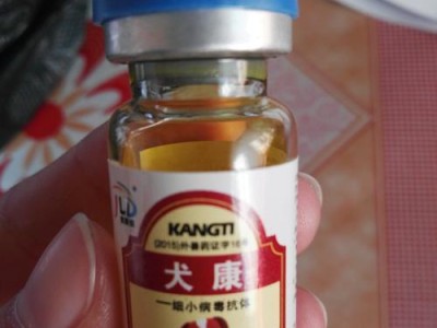 探索治疗细小病毒的有效药物（以细小病毒为主题的药物研究与治疗探索）