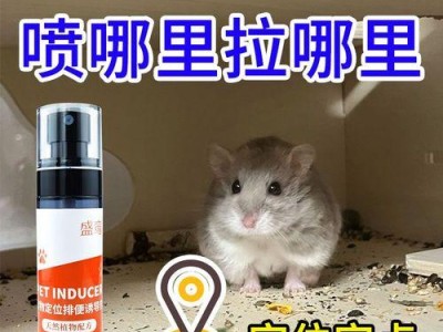 如何教仓鼠上厕所（快速有效的训练方法）