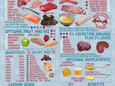 狗可以喝什么油？（探索狗狗饮食中油类的安全与适宜性）