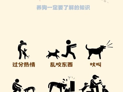 小狗咬东西的改善之路（培养小狗不乱咬东西的有效方法）