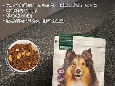 23个月大的比熊的饮食指南（了解适合23个月大的比熊的营养需求及食物推荐）