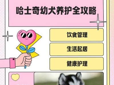 哈士奇的繁殖周期（了解哈士奇的繁殖周期及相关注意事项）