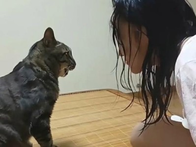猫病（掌握猫咪生病的迹象和应对策略）